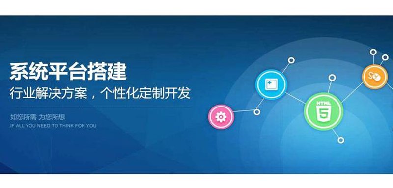 软件定制：行业变革引领者